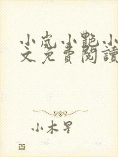 小岚小艳小说全文免费阅读最新章节