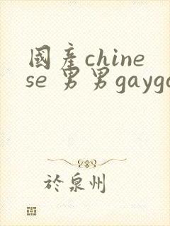 国产chinese 男男gaygay网站