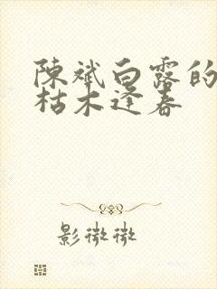 陈斌白露的小说枯木逢春