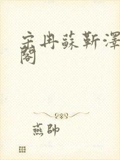 宋冉苏靳泽笔趣阁封面