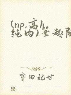 (np,高h,纯肉)笔趣阁封面