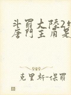 斗罗大陆2绝世唐门主角是谁封面