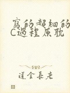 写的超细的多肉C过程原耽