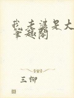 我老婆是大明星笔趣阁封面