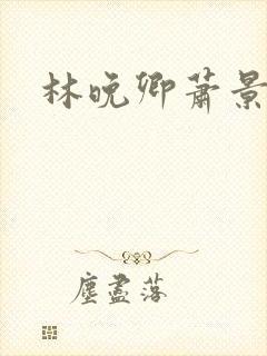 林晚卿萧景辞封面