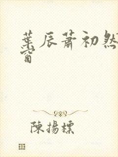 叶辰萧初然无弹窗封面