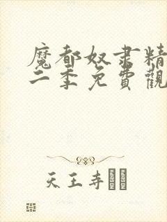 魔都奴隶精兵第二季免费观看封面