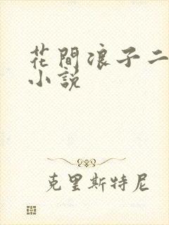 花间浪子二十部小说