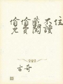 偷偷藏不住完本免费阅读封面