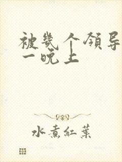 被几个领导玩弄一晚上封面