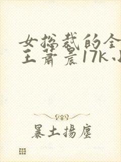 女总裁的全能兵王萧晨17k小说网封面