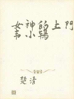 女神的上门豪婿韦小鸨