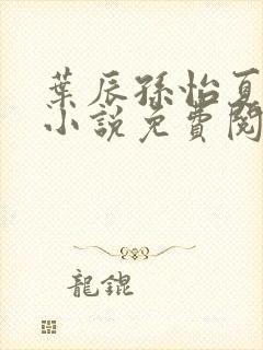 叶辰孙怡夏若雪小说免费阅读全文封面