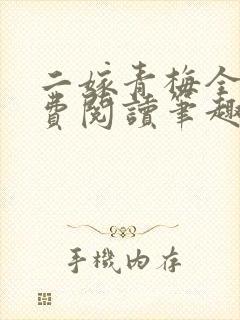 二嫁青梅全文免费阅读笔趣阁封面