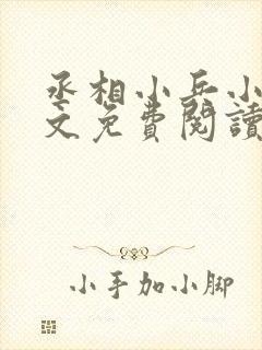 丞相小兵小说全文免费阅读无弹窗