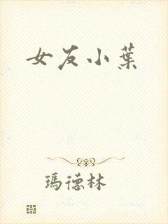 女友小叶