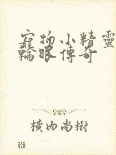 宠物小精灵之写轮眼传奇