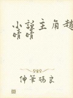 小说主角赵旭李晴晴