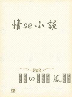 情se小说封面