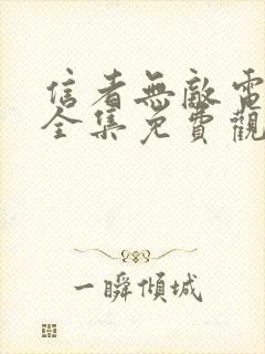 信者无敌电视剧全集免费观看