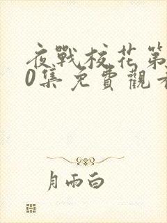 夜战校花第100集免费观看动漫视频封面