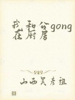 我和公gong在厨房