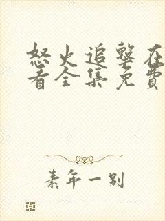 怒火追击在线观看全集免费高清电影下载