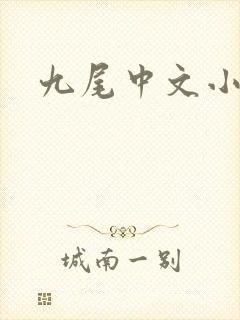 九尾中文小说网