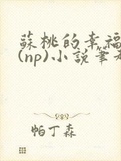 苏桃的幸福生活(np)小说笔趣阁沐沐