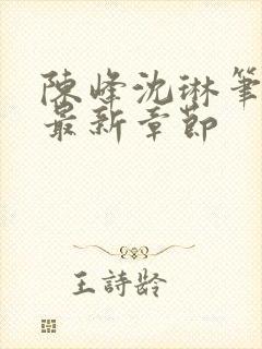 陈峰沈琳笔趣阁最新章节