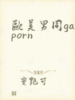 欧美男同gayporn