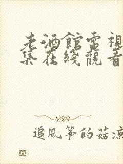 老酒馆电视剧全集在线观看免费高清