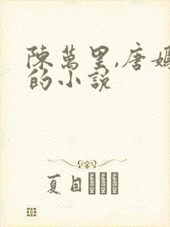 陈万里,唐嫣然的小说封面