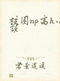 校园np高h小说封面