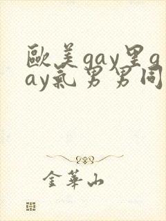 欧美gay里gay气男男同性恋网站封面