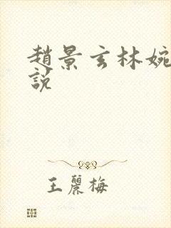 赵景玄林婉卿小说