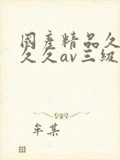 国产精品久久久久久av三级封面