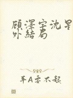 顾泽宇沈星晚番外结局