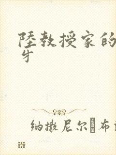 陆教授家的小月牙