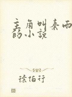 主角叫秦雨老旺的小说