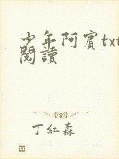 少年阿宾txt阅读