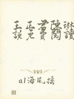 王正君陈琳洁小说免费阅读