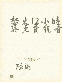 怒火12小时全集免费观看完整版高清封面