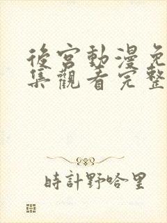 后宫动漫免费全集观看完整版高清