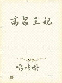 高昌王妃封面