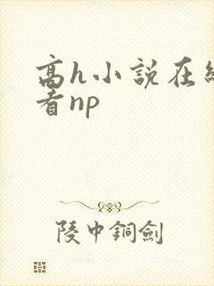 高h小说在线观看np