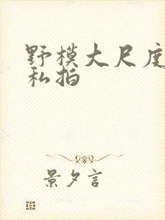 野模大尺度肉体私拍