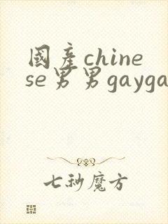 国产chinese男男gaygay网站钙站