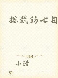 总裁的七日恋人