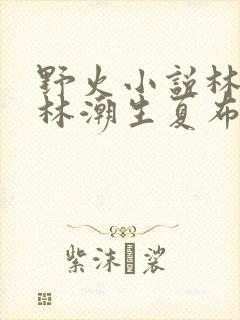 野火小说林晚晚林潮生夏布多昂封面
